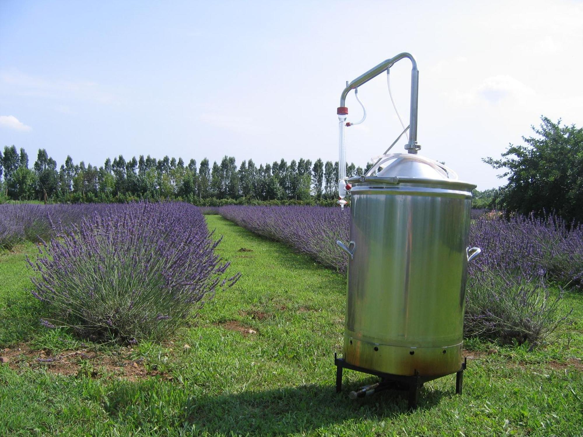 Agriturismo Domus Magna Povoletto Eksteriør bilde