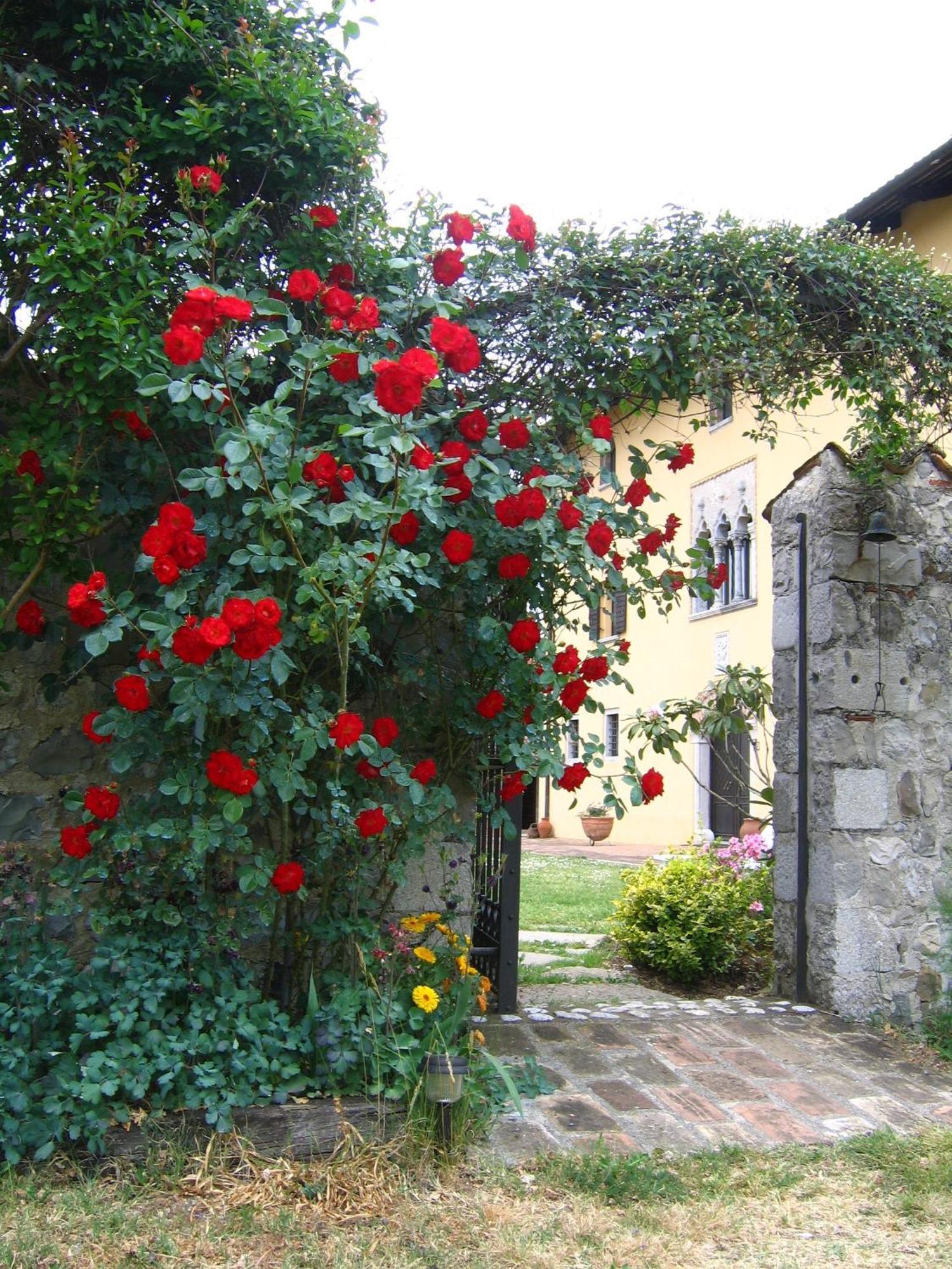 Agriturismo Domus Magna Povoletto Eksteriør bilde