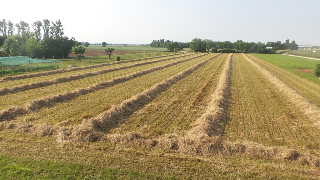 Agriturismo Domus Magna Povoletto Eksteriør bilde